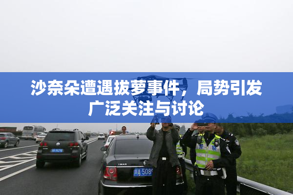 沙奈朵遭遇拔萝事件，局势引发广泛关注与讨论