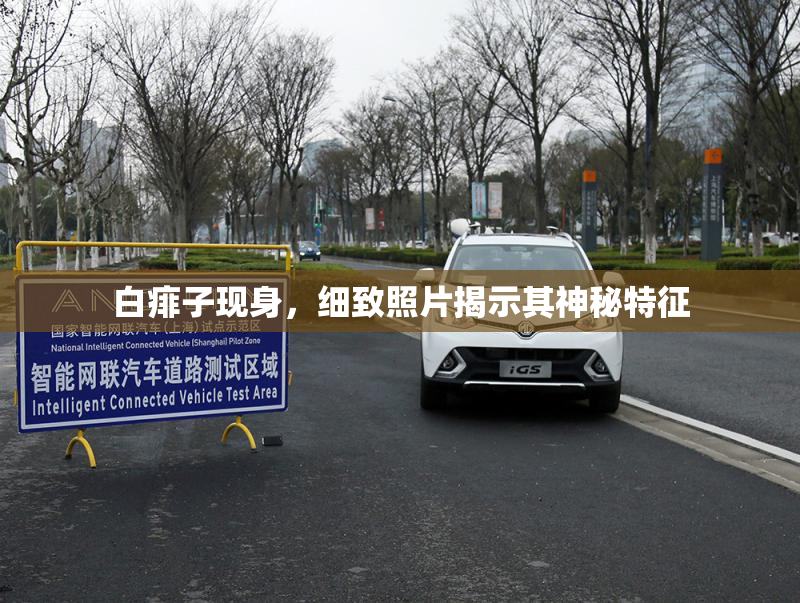 白痱子现身，细致照片揭示其神秘特征