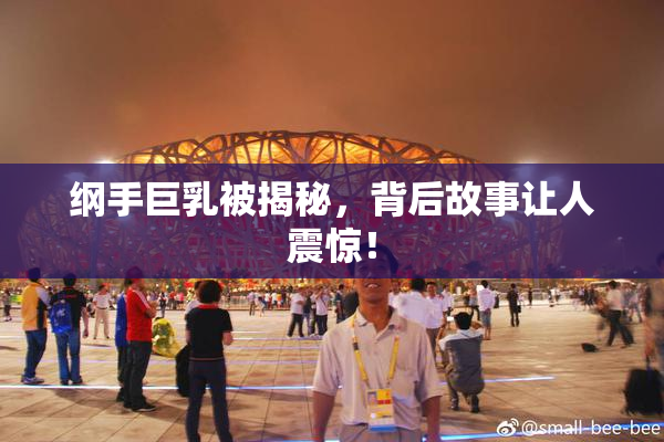 纲手巨乳被揭秘，背后故事让人震惊！