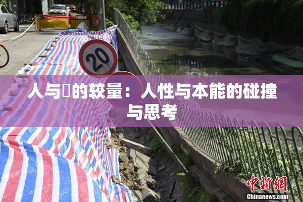 人与嘼的较量：人性与本能的碰撞与思考