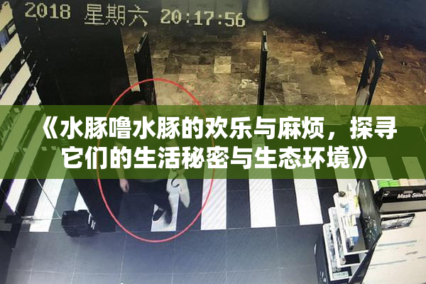 《水豚噜水豚的欢乐与麻烦，探寻它们的生活秘密与生态环境》