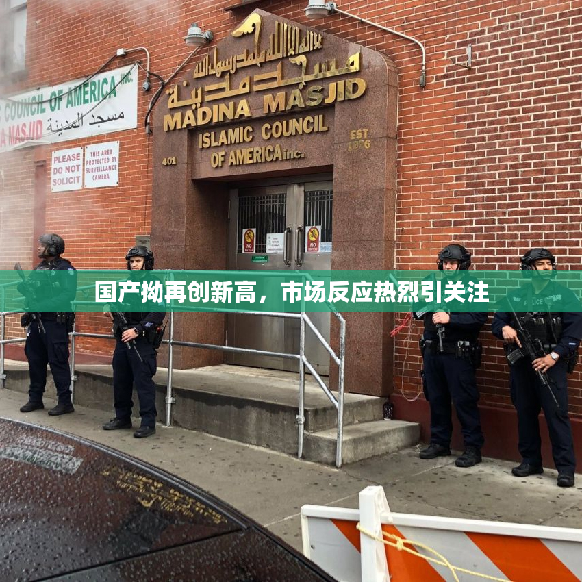 国产拗再创新高，市场反应热烈引关注