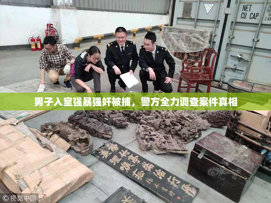 男子入室强暴强奸被捕，警方全力调查案件真相
