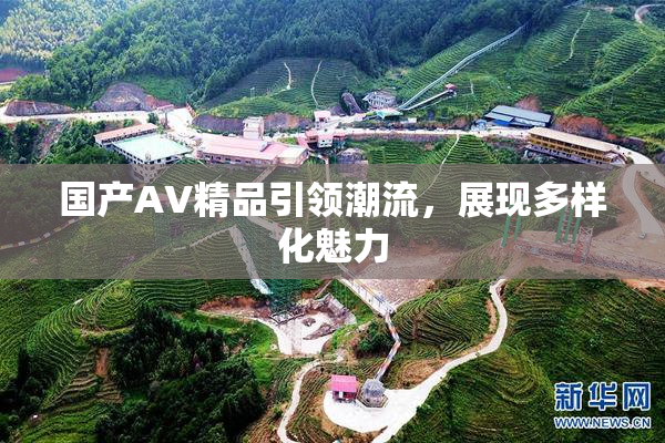 国产AV精品引领潮流，展现多样化魅力