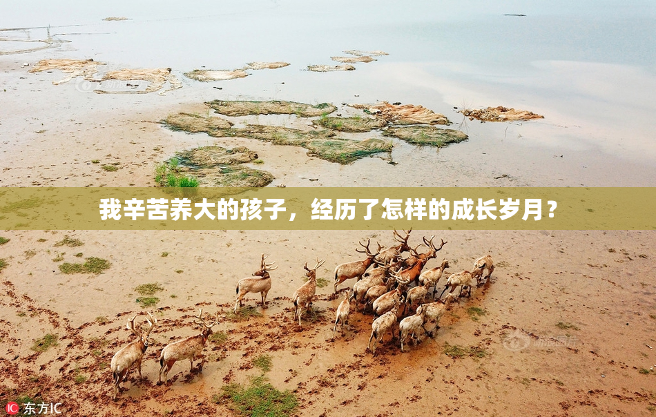 我辛苦养大的孩子，经历了怎样的成长岁月？