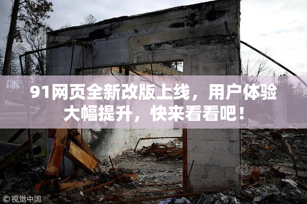 91网页全新改版上线，用户体验大幅提升，快来看看吧！