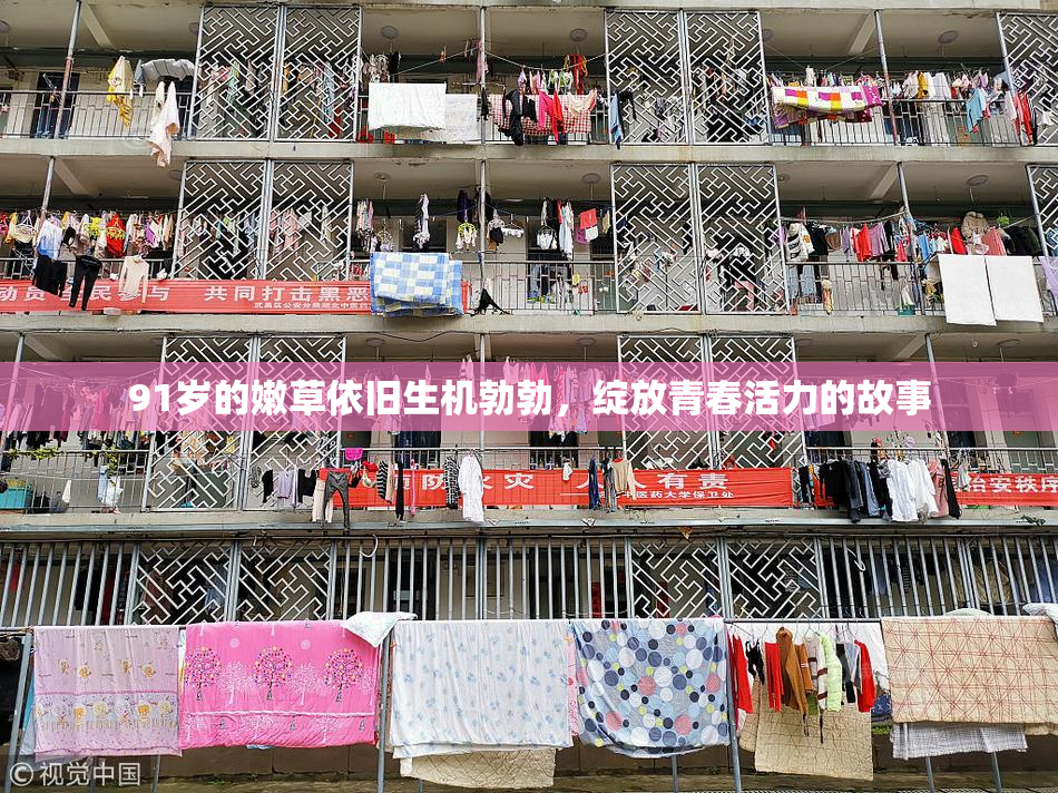 91岁的嫩草依旧生机勃勃，绽放青春活力的故事