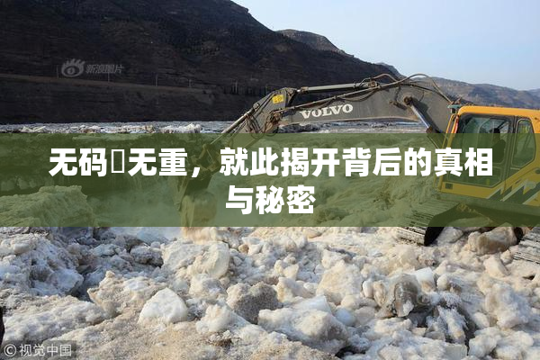 无码囯无重，就此揭开背后的真相与秘密