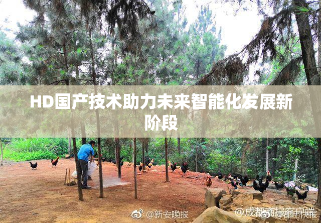 HD国产技术助力未来智能化发展新阶段