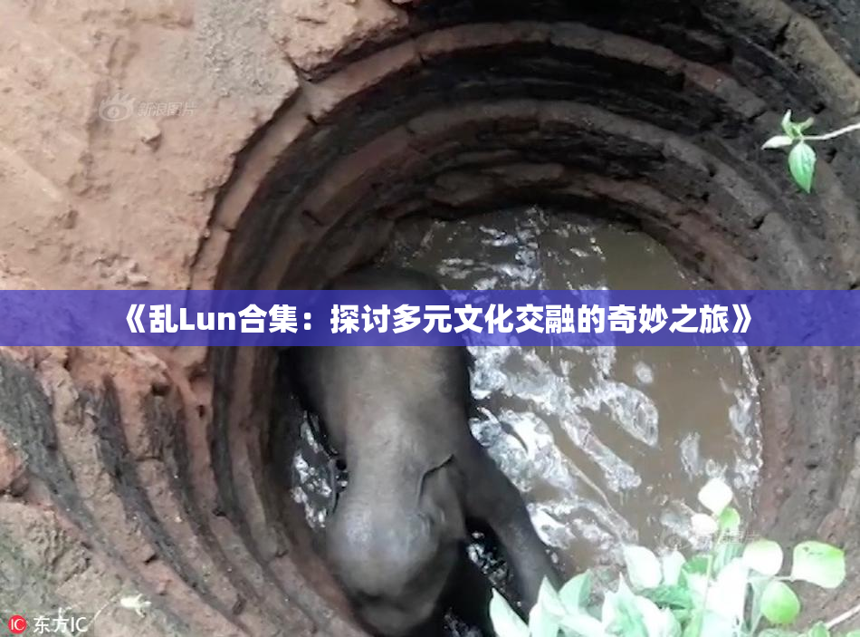 《乱Lun合集：探讨多元文化交融的奇妙之旅》