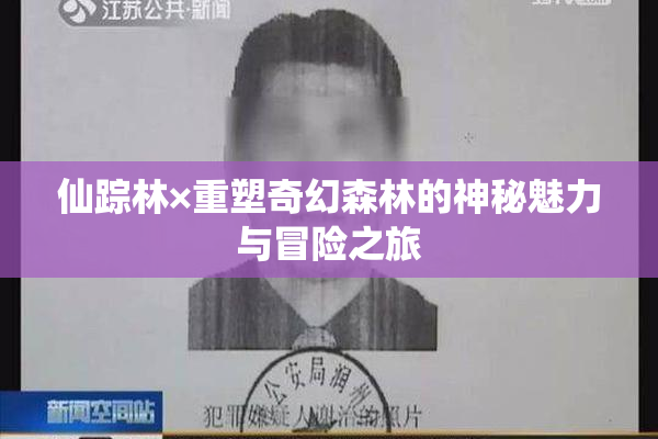仙踪林×重塑奇幻森林的神秘魅力与冒险之旅