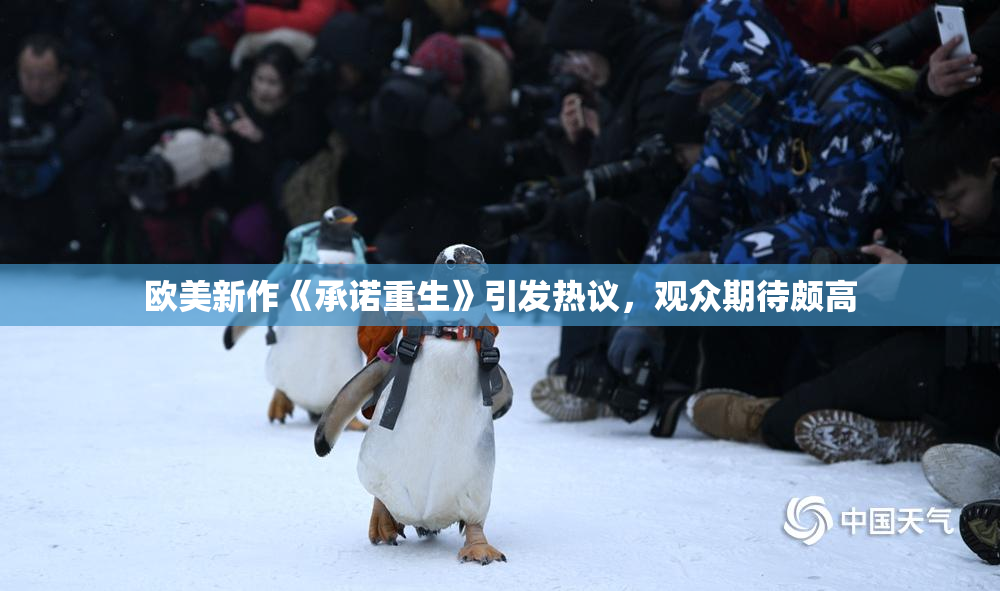 欧美新作《承诺重生》引发热议，观众期待颇高