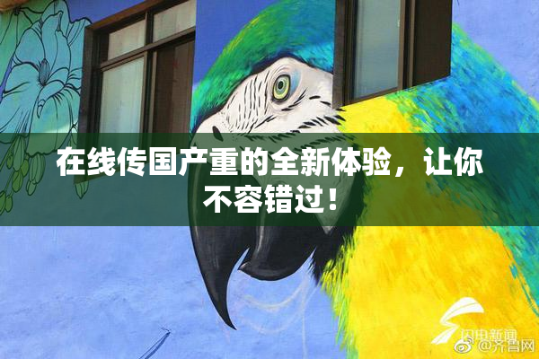 在线传国产重的全新体验，让你不容错过！