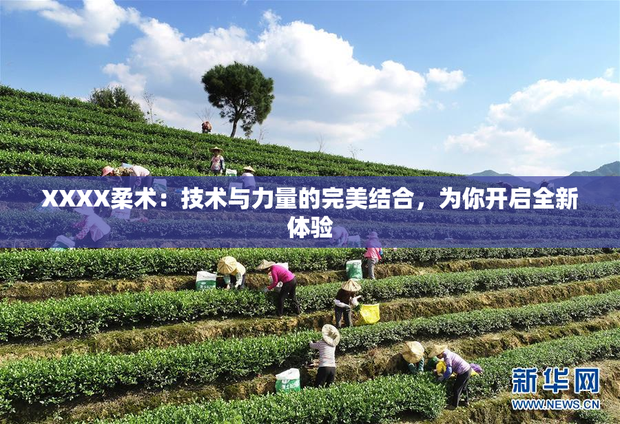 XXXX柔术：技术与力量的完美结合，为你开启全新体验