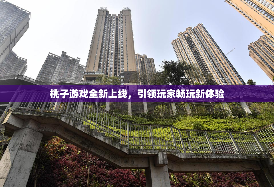 桃子游戏全新上线，引领玩家畅玩新体验