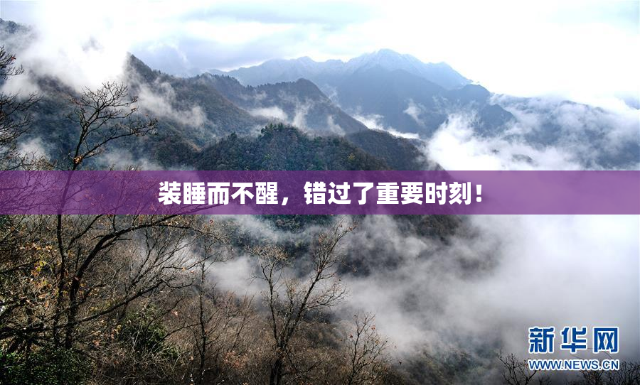 装睡而不醒，错过了重要时刻！