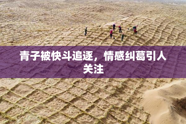 青子被快斗追逐，情感纠葛引人关注