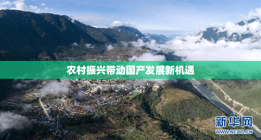 农村振兴带动国产发展新机遇