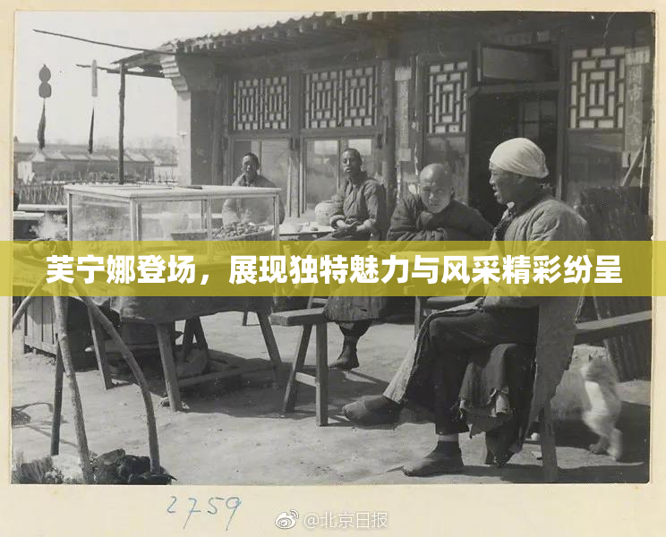 芙宁娜登场，展现独特魅力与风采精彩纷呈