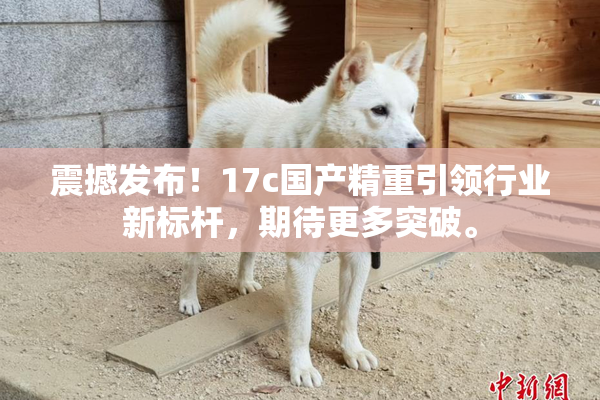 震撼发布！17c国产精重引领行业新标杆，期待更多突破。