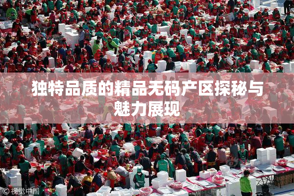 独特品质的精品无码产区探秘与魅力展现