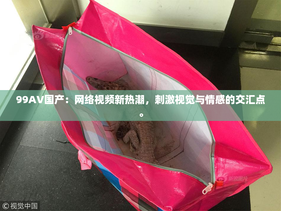 99AV国产：网络视频新热潮，刺激视觉与情感的交汇点。