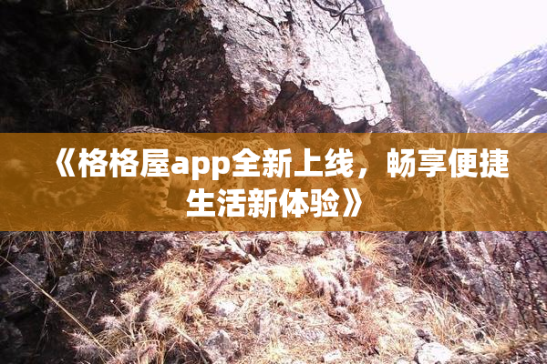 《格格屋app全新上线，畅享便捷生活新体验》