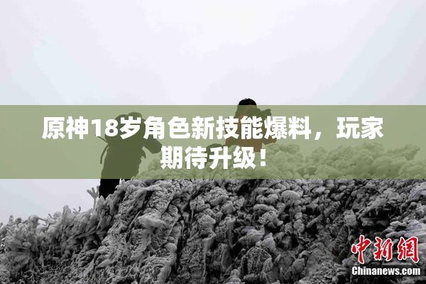 原神18岁角色新技能爆料，玩家期待升级！