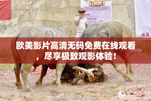 欧美影片高清无码免费在线观看，尽享极致观影体验！