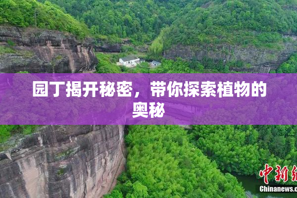 园丁揭开秘密，带你探索植物的奥秘