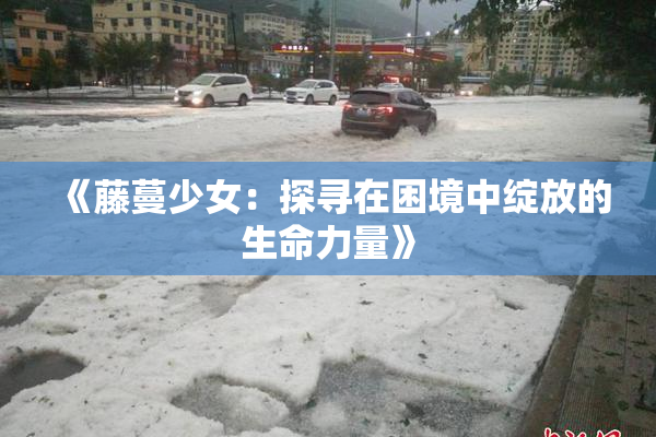 《藤蔓少女：探寻在困境中绽放的生命力量》