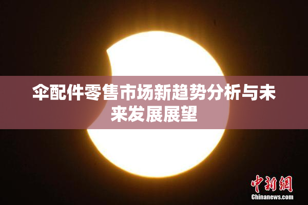 伞配件零售市场新趋势分析与未来发展展望