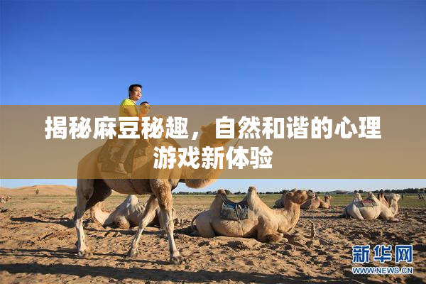 揭秘麻豆秘趣，自然和谐的心理游戏新体验
