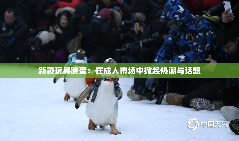 新颖玩具跳蛋：在成人市场中掀起热潮与话题