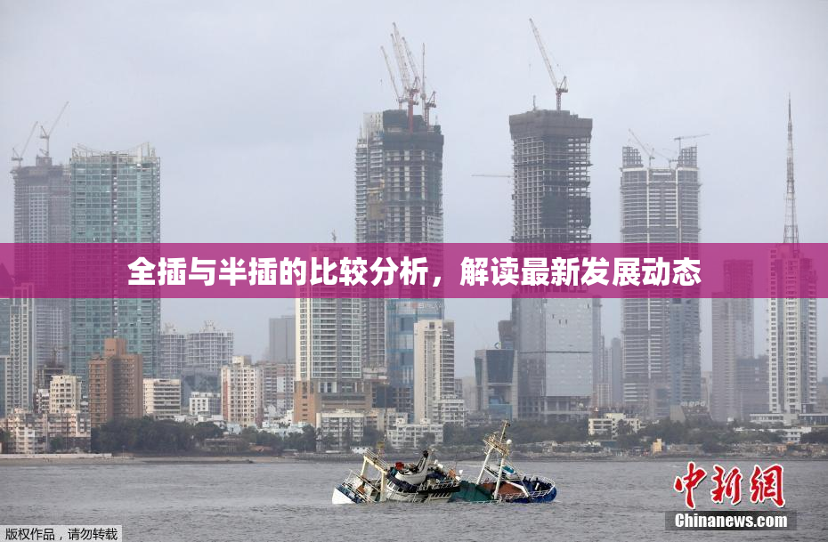 全插与半插的比较分析，解读最新发展动态