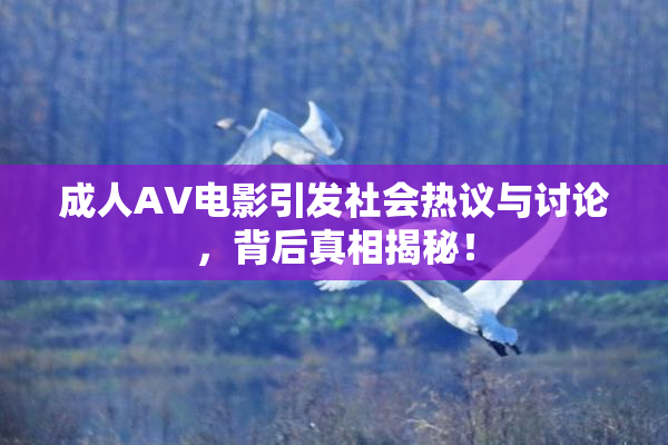 成人AV电影引发社会热议与讨论，背后真相揭秘！