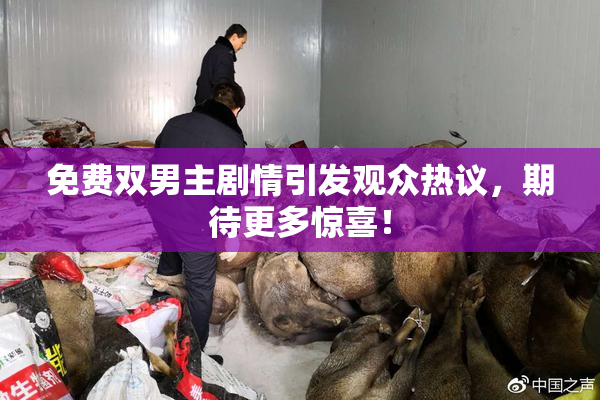 免费双男主剧情引发观众热议，期待更多惊喜！