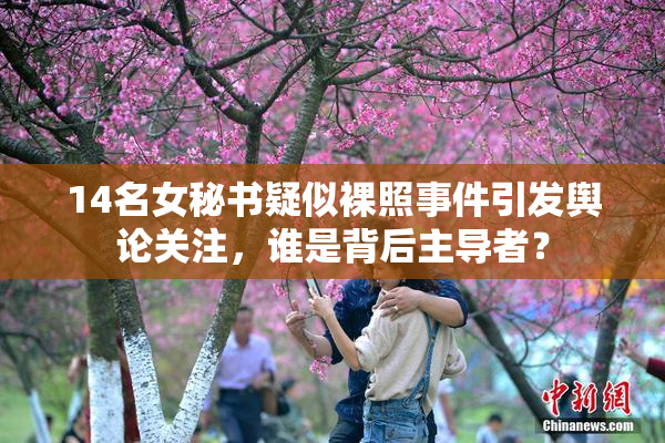 14名女秘书疑似裸照事件引发舆论关注，谁是背后主导者？