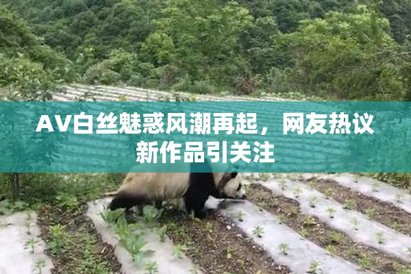 AV白丝魅惑风潮再起，网友热议新作品引关注