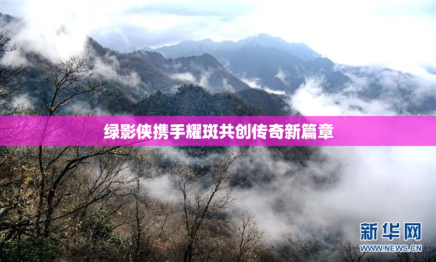 绿影侠携手耀斑共创传奇新篇章