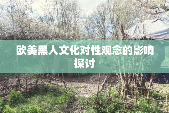 欧美黑人文化对性观念的影响探讨