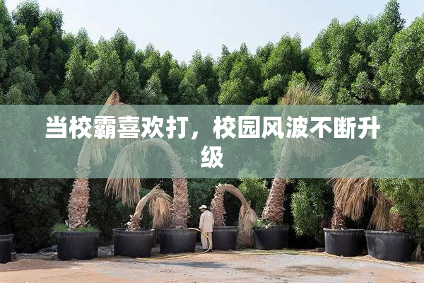 当校霸喜欢打，校园风波不断升级
