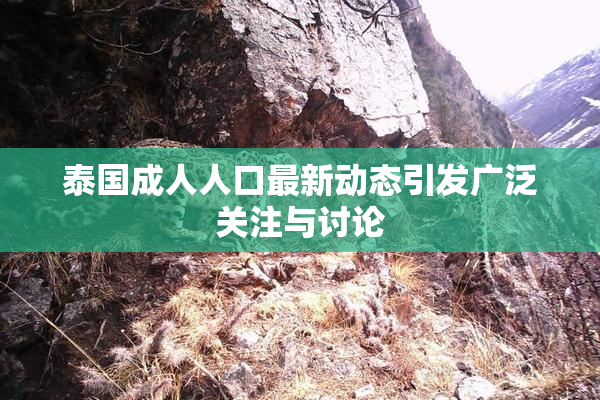 泰国成人人口最新动态引发广泛关注与讨论