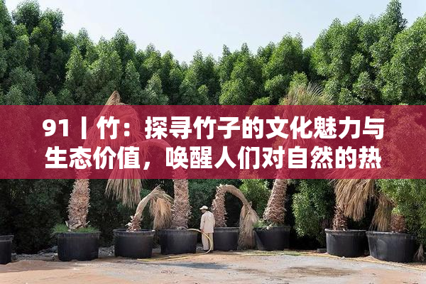 91丨竹：探寻竹子的文化魅力与生态价值，唤醒人们对自然的热爱