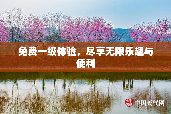 免费一级体验，尽享无限乐趣与便利
