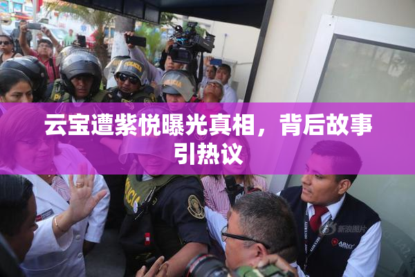 云宝遭紫悦曝光真相，背后故事引热议