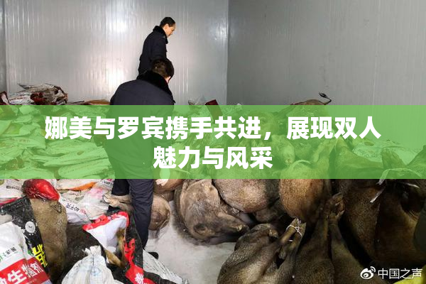 娜美与罗宾携手共进，展现双人魅力与风采