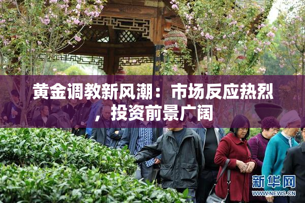黄金调教新风潮：市场反应热烈，投资前景广阔