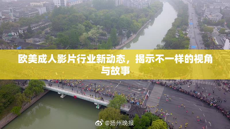欧美成人影片行业新动态，揭示不一样的视角与故事