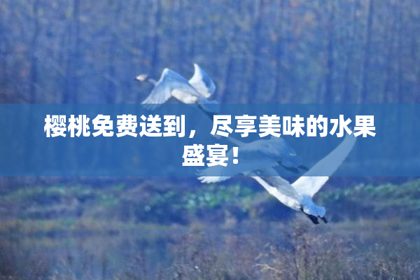 樱桃免费送到，尽享美味的水果盛宴！